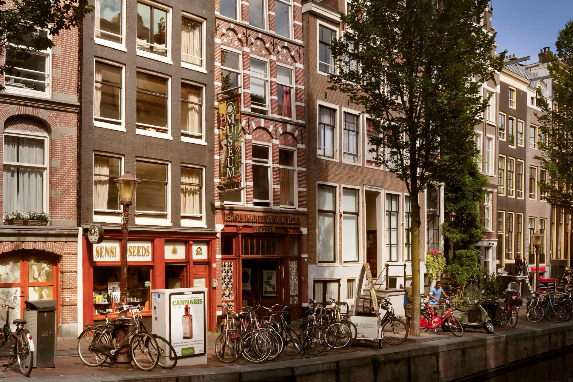 Лучшие музеи каннабиса в Европе